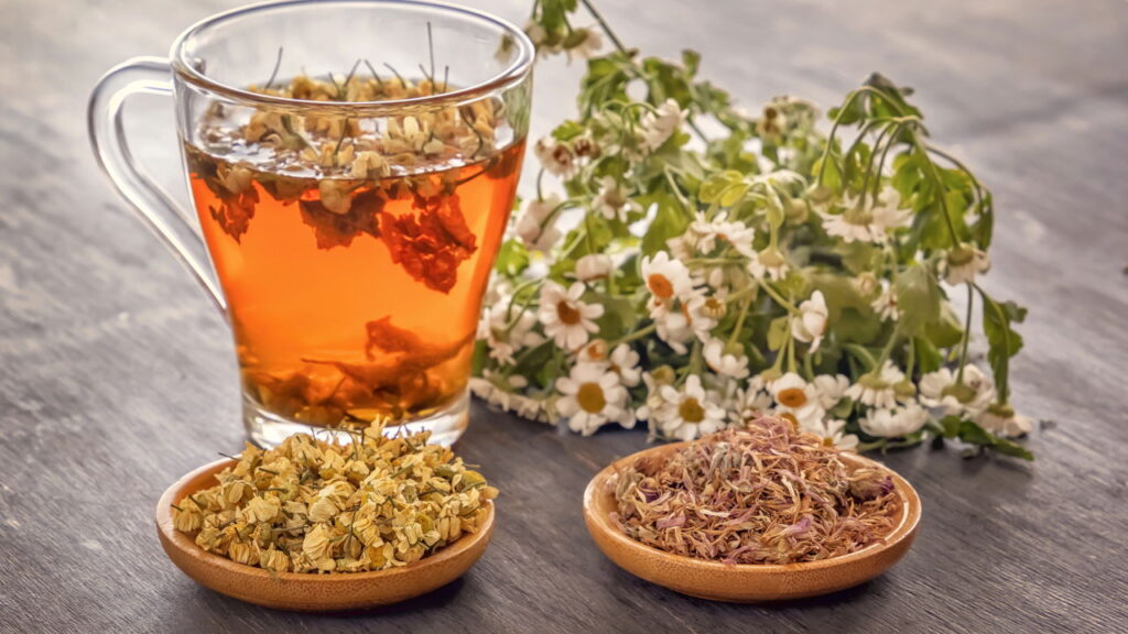 Chá de Mulungu: Tradição e Eficiência Brasileira - inspiração 2