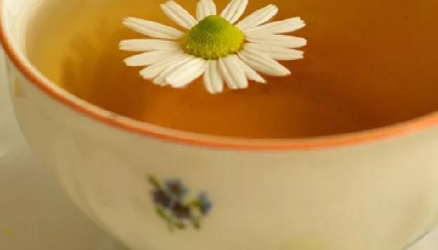 Variações da camomila e seu consumo seguro - inspiração 1