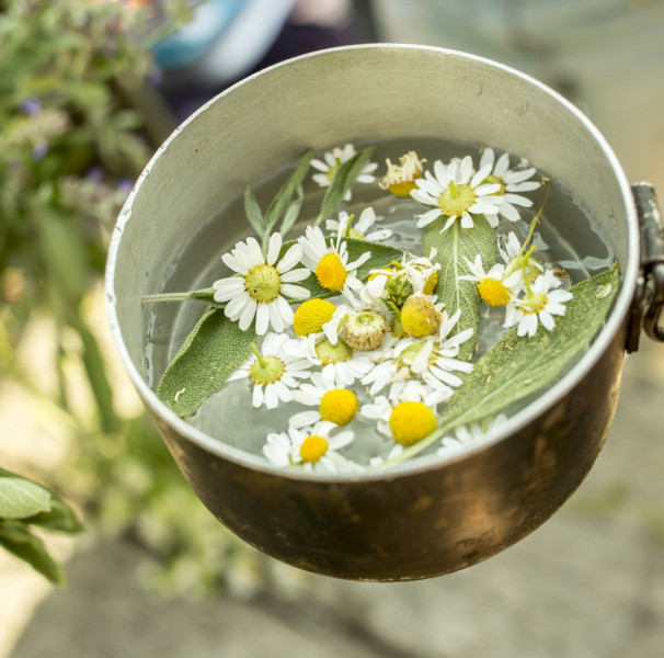 Os benefícios da camomila mudam com a quantidade? - inspiração 1