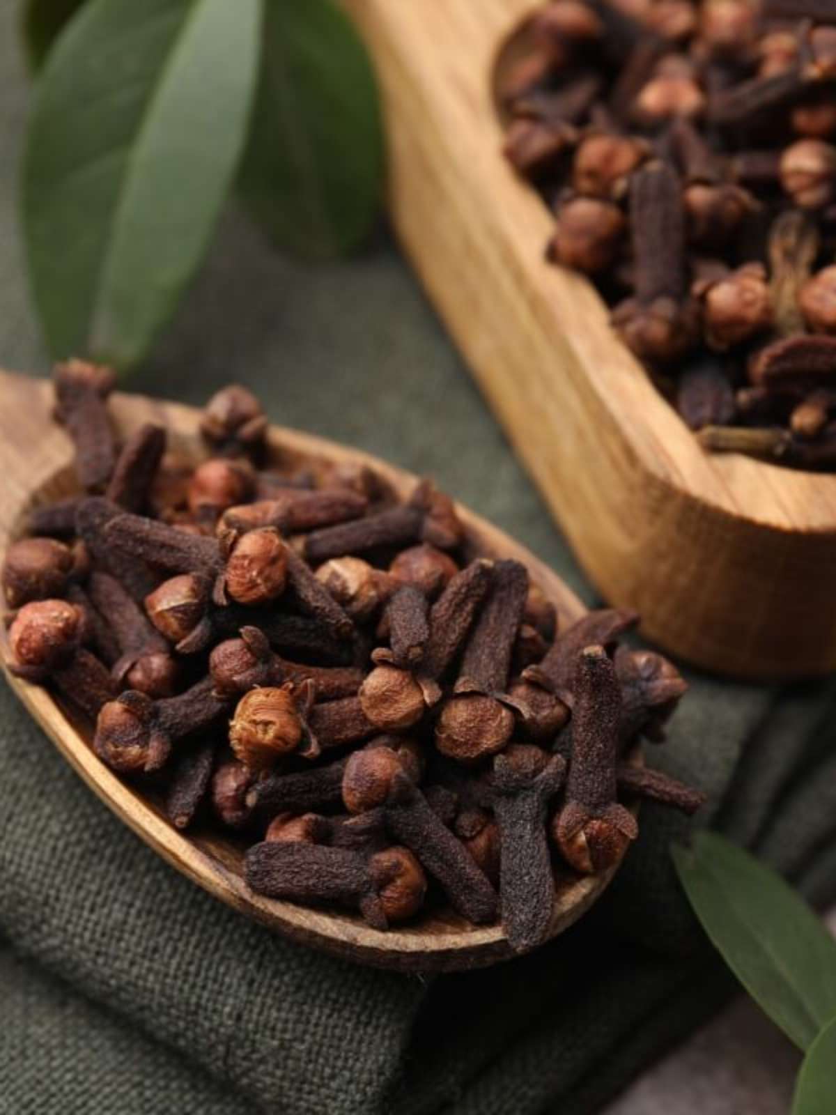 Sobrecarga Hepática ou Renal: O Que a Ciência Diz? - inspiração 1