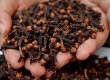 Sobrecarga Hepática ou Renal: O Que a Ciência Diz? - inspiração 2