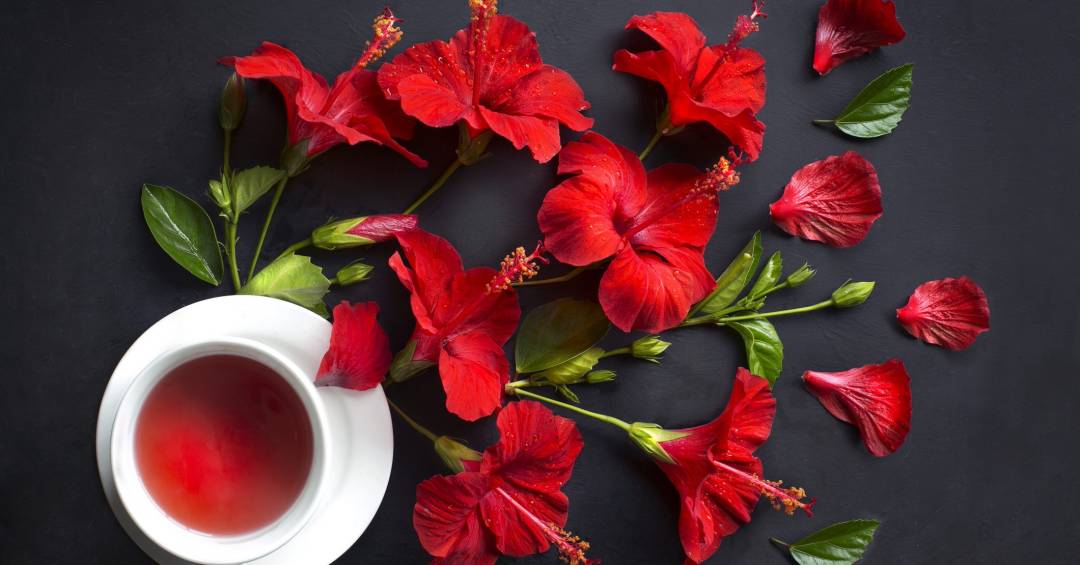 Diabetes: Controle da Glicose em Pauta - inspiração 1