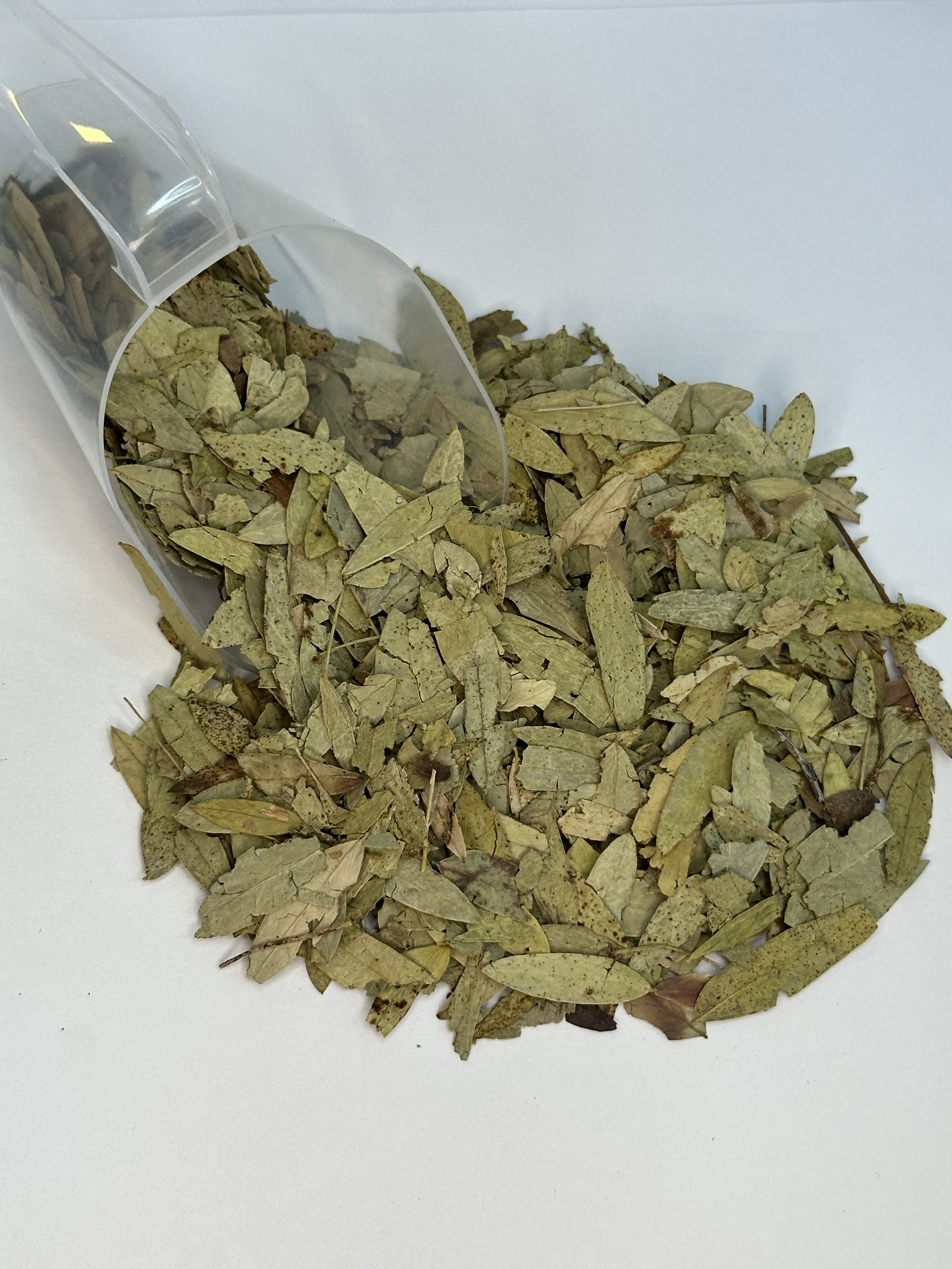 O Que o Sene Faz Exatamente Pelo Seu Corpo? - inspiração 1