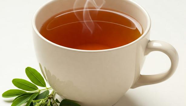 Alternativas Naturais e Complementares ao Sene para o Intestino - inspiração 1