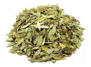 Alívio Natural e Eficaz da Constipação: Como o Sene Age - inspiração 2