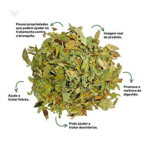 Desvendando a Ação Laxativa: Entendendo os Compostos Ativos do Sene - inspiração 1