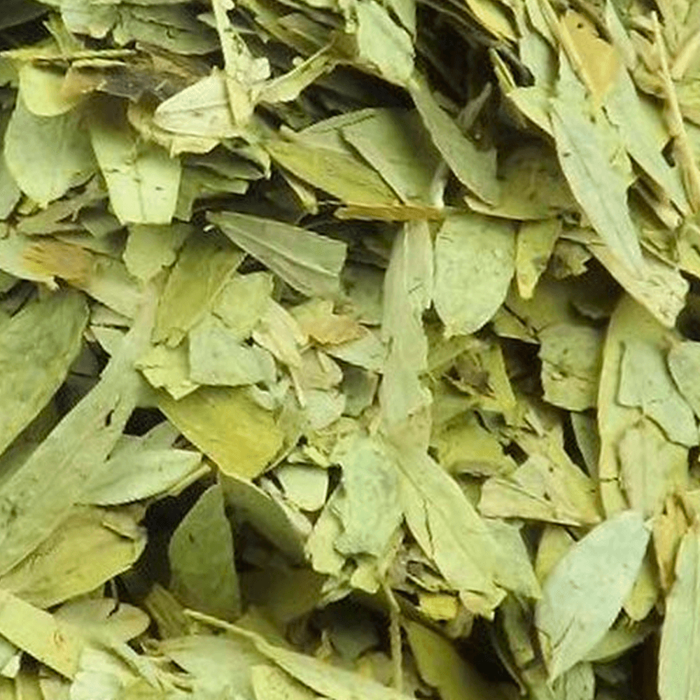 Sene e a Saúde Digestiva: Um Equilíbrio Delicado a Ser Buscado - inspiração 1