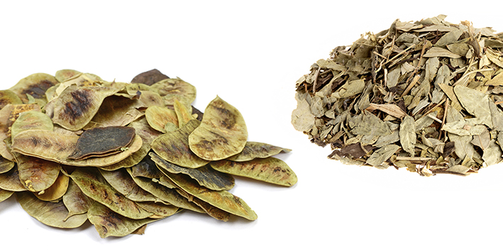 Sene e a Saúde Digestiva: Um Equilíbrio Delicado a Ser Buscado - inspiração 2