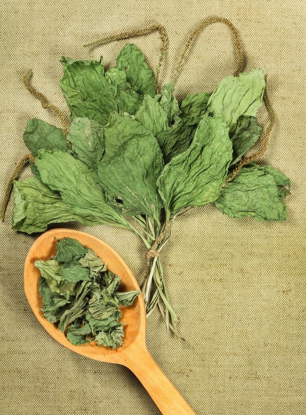 Ação Anti-inflamatória: Um Aliado Contra Inflamações Internas e Externas - inspiração 2