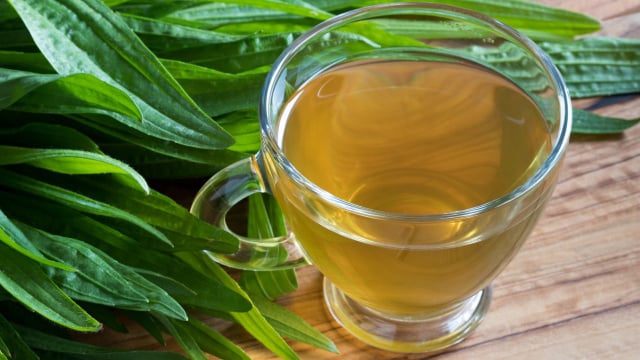 Digestão Saudável: Combatendo Indigestão e Outros Desconfortos - inspiração 1