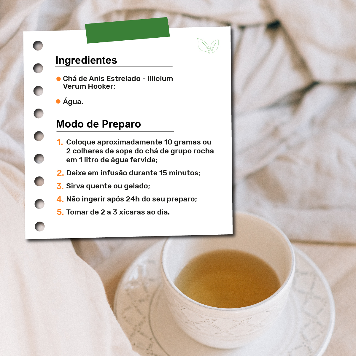 Anis Estrelado: Guia Completo de Benefícios para a Saúde