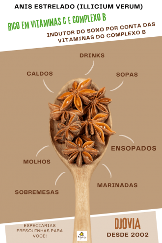 Receitas com Anis Estrelado para Fortalecer a Imunidade