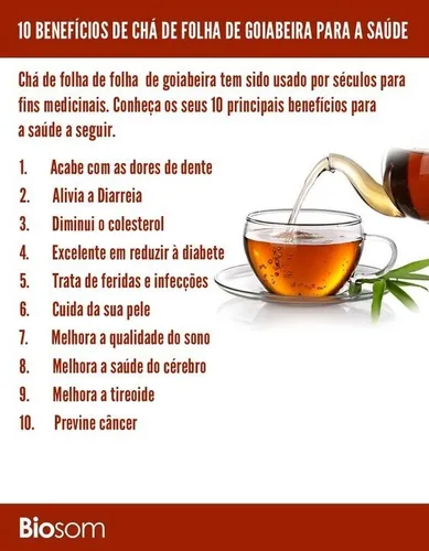 beneficio cha goiaba