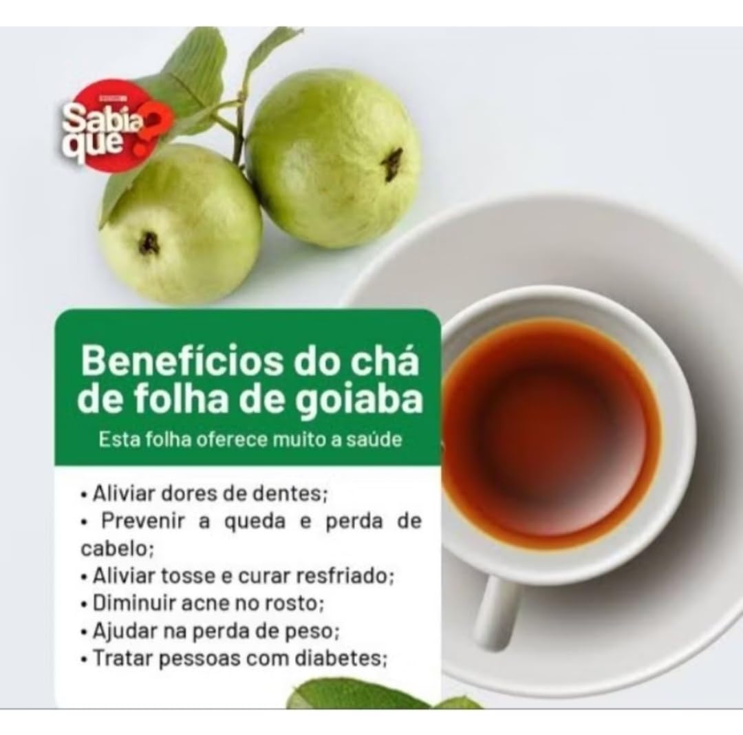Benefícios do Chá de Folha de Goiaba para a Saúde Cardiovascular