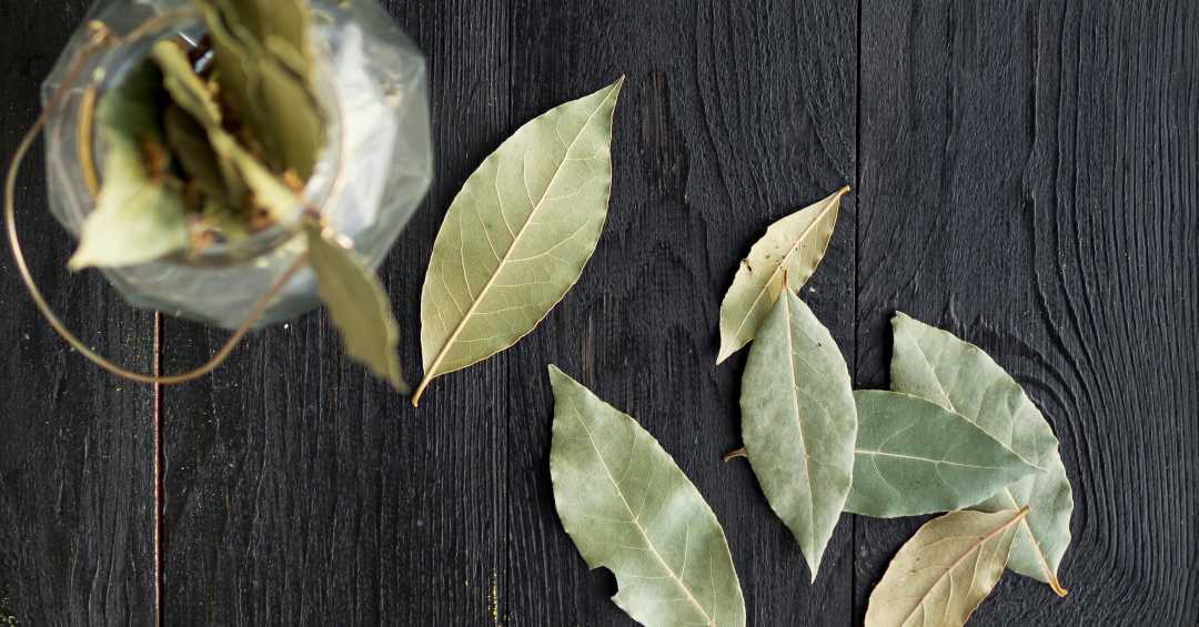 Chá de Louro com Canela: Receita e Benefícios Combinados