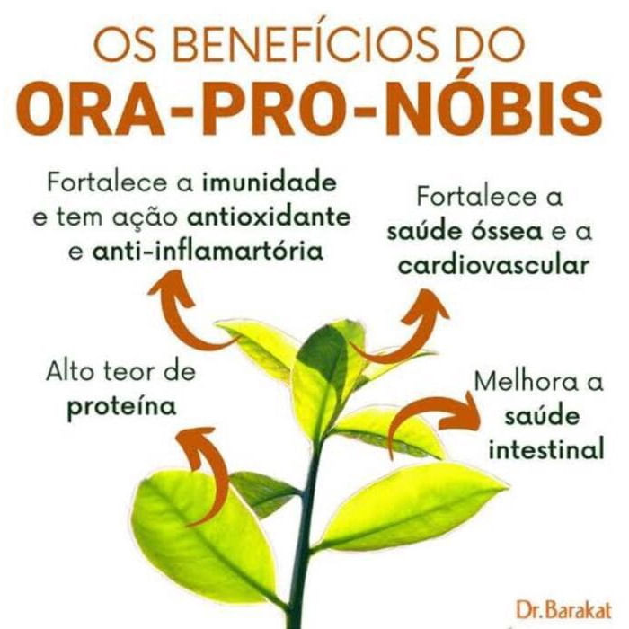 beneficio cha ora pro nobis