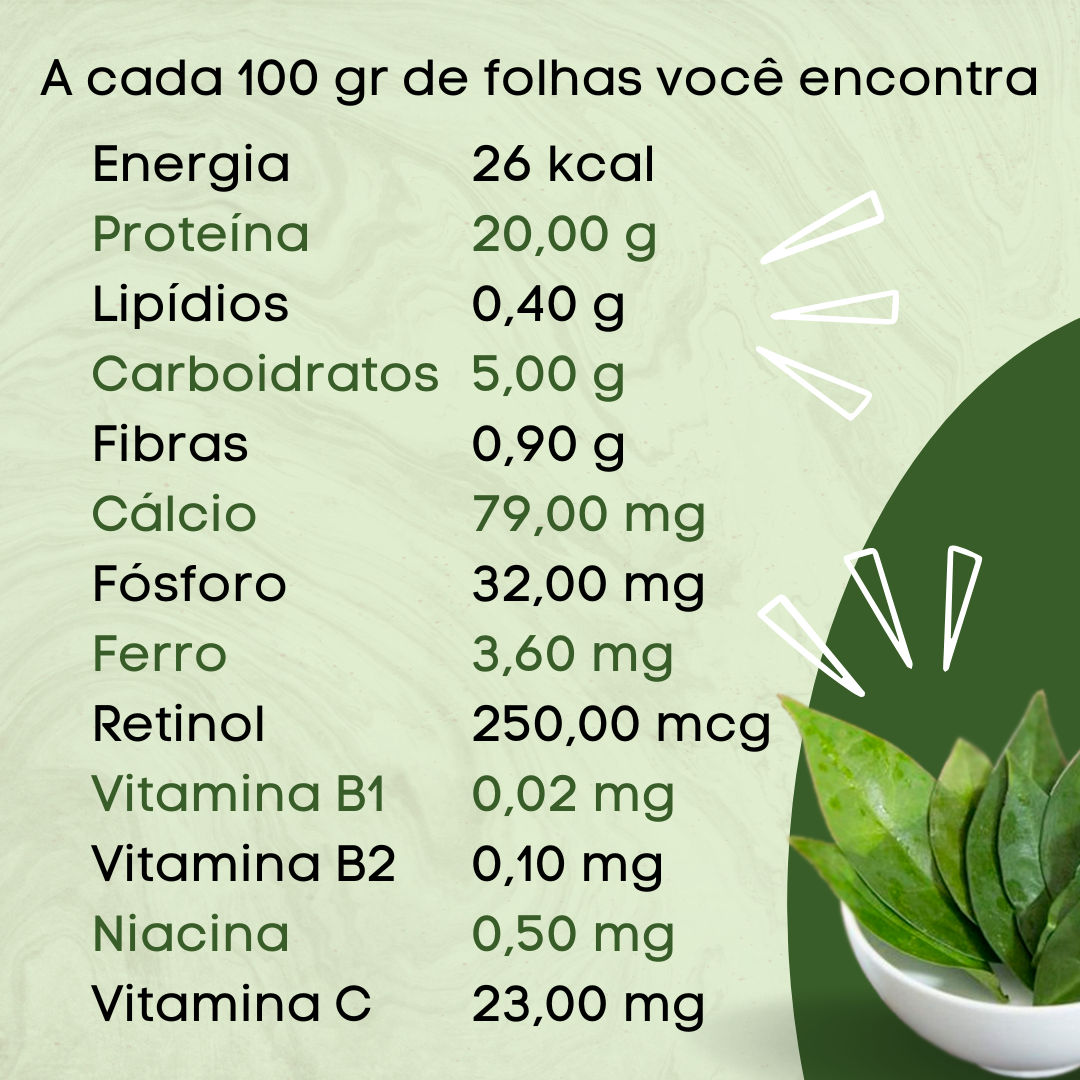 Outras formas de consumir ora-pro-nóbis (sucos e receitas)