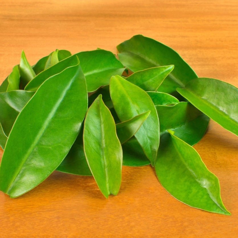 Valores nutricionais completos do ora-pro-nóbis