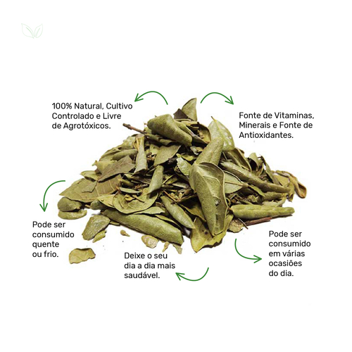 Contraindicações do Chá de Boldo: Quem Não Deve Consumir?