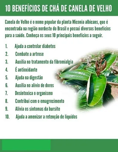 Receita de Chá de Canela com Gengibre para Potencializar a Imunidade