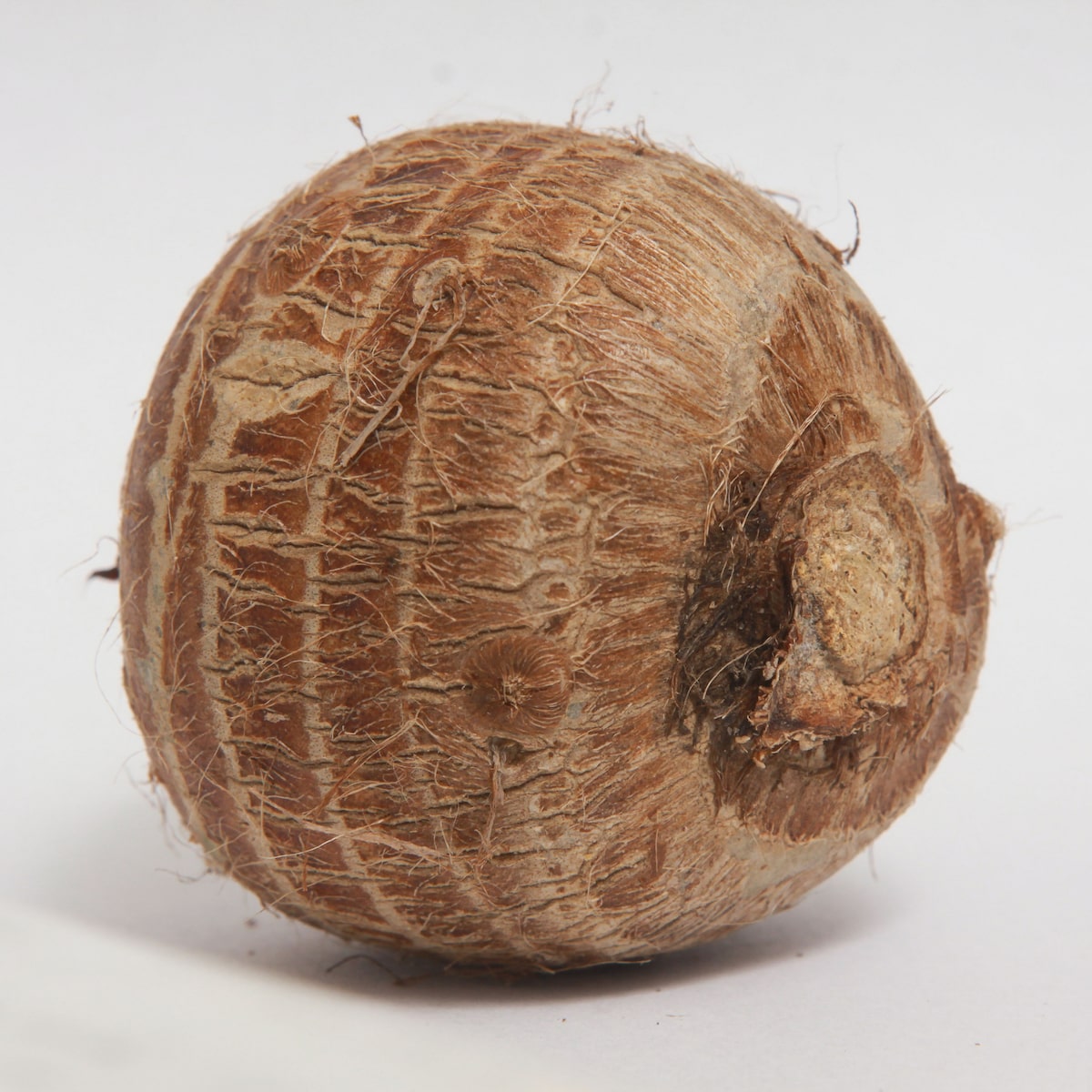 Chá de inhame: quando tomar para TPM?