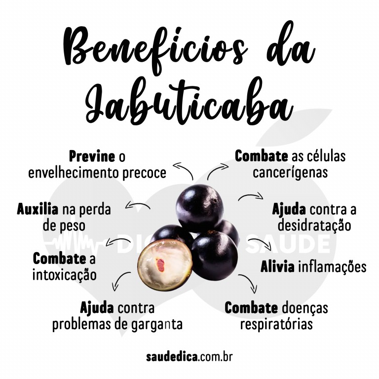 Onde comprar jabuticaba fresca e seus derivados