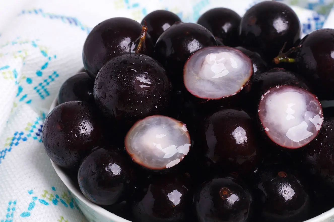 Receita de suco funcional com jabuticaba inteira