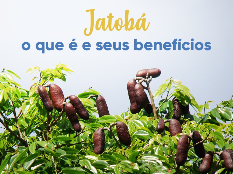 Receita de chá de jatobá com mel e limão