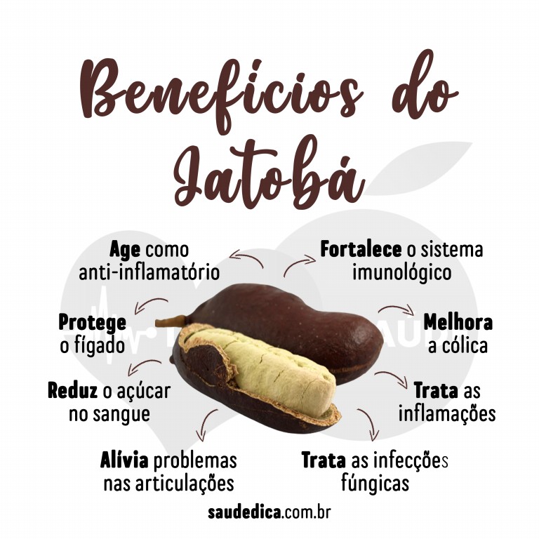 Diferenças entre o chá da casca e o chá das folhas de jatobá