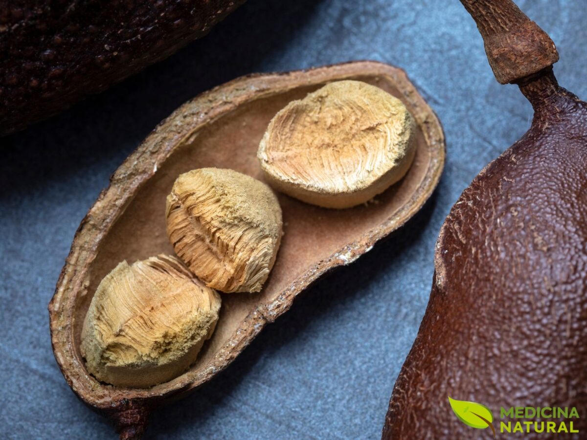 Quando o chá de jatobá é contraindicado?