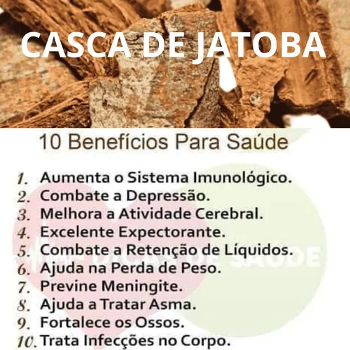 O poder antioxidante do jatobá: o que a ciência diz?
