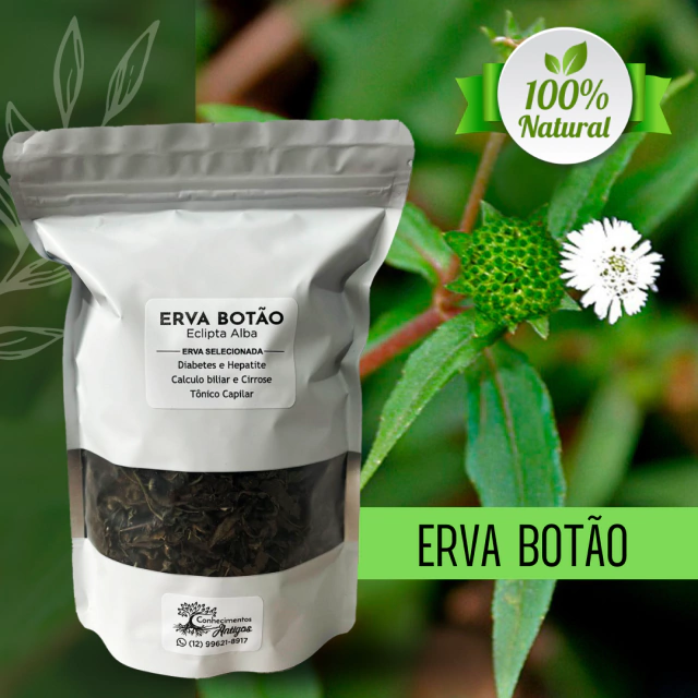 benefícios do chá erva botão