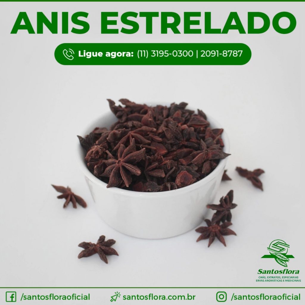 5 Receitas de Chás Combinados com Anis-Estrelado