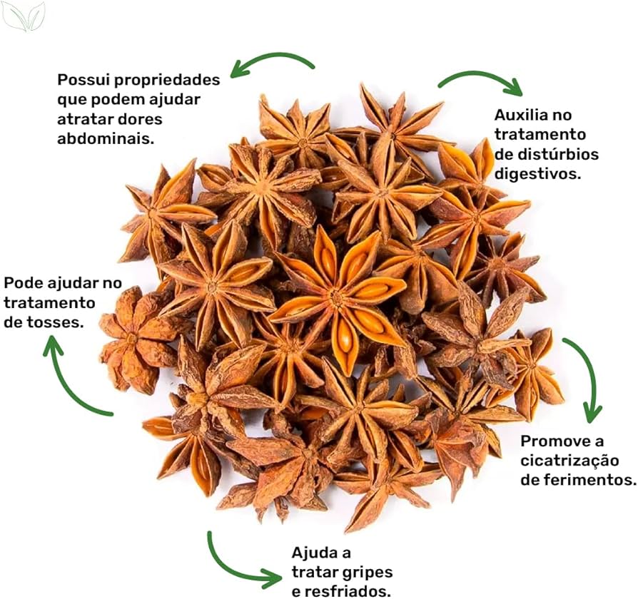 5 Receitas de Chás Combinados com Anis-Estrelado
