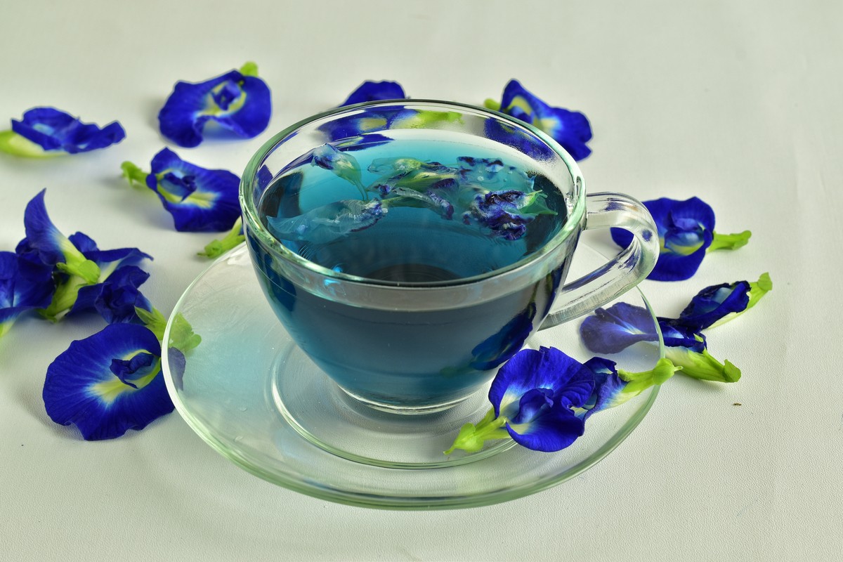 benefícios do chá fada azul