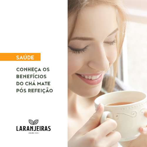 Chá mate para energia e foco: Mitos e verdades