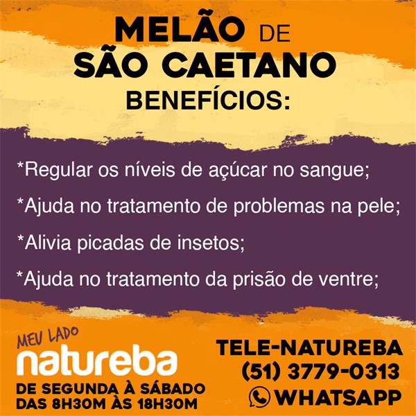 Contraindicações do Melão-de-São-Caetano: Quem Não Deve Usar?