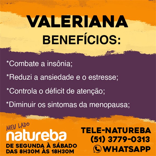 Dicas para aliviar sintomas da TPM com chás medicinais