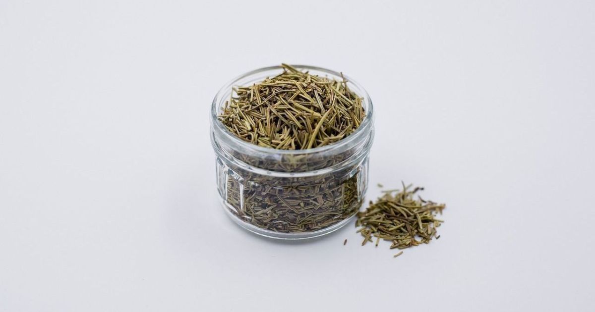 Como cultivar alecrim em casa