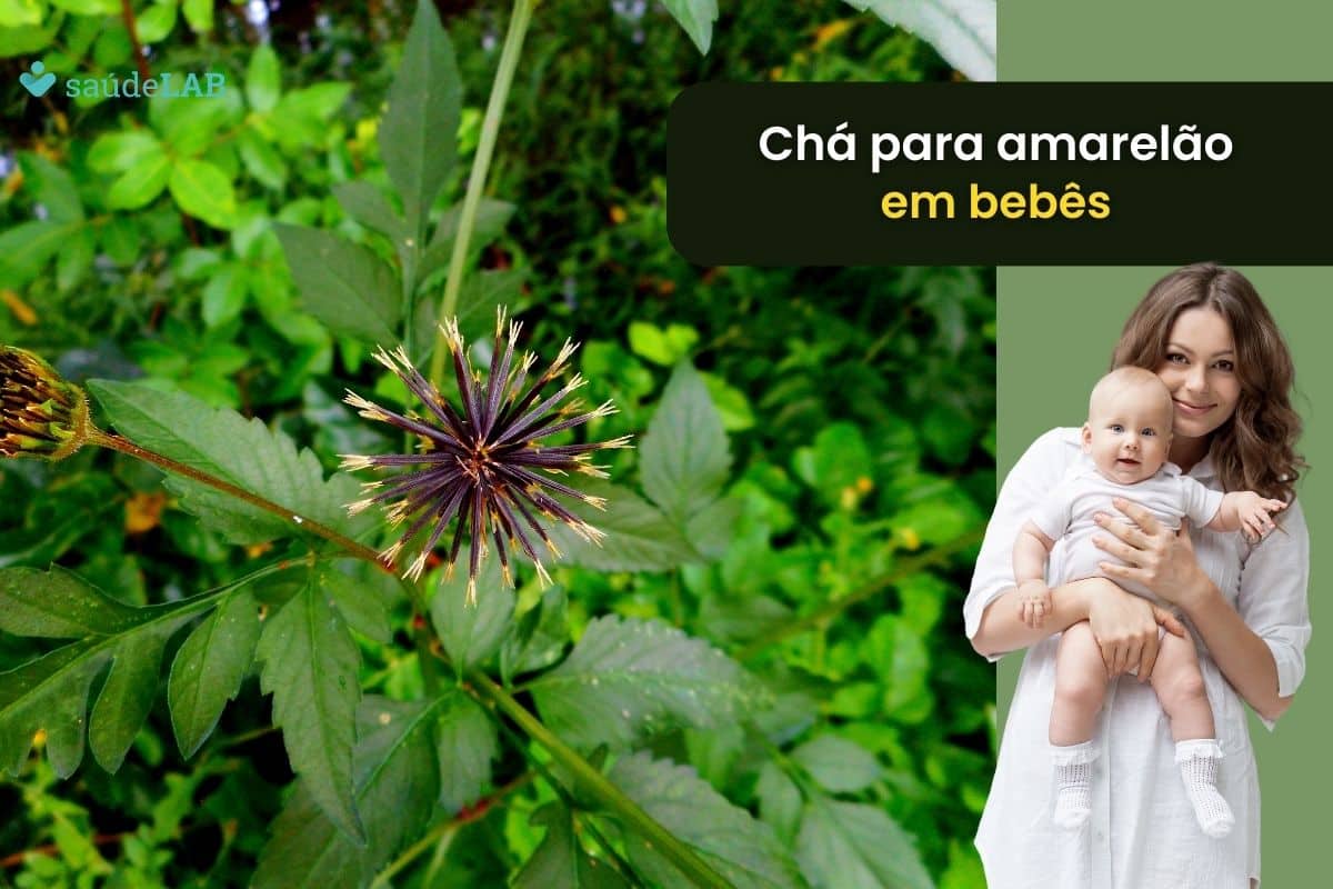 Guia completo sobre fototerapia para icterícia neonatal