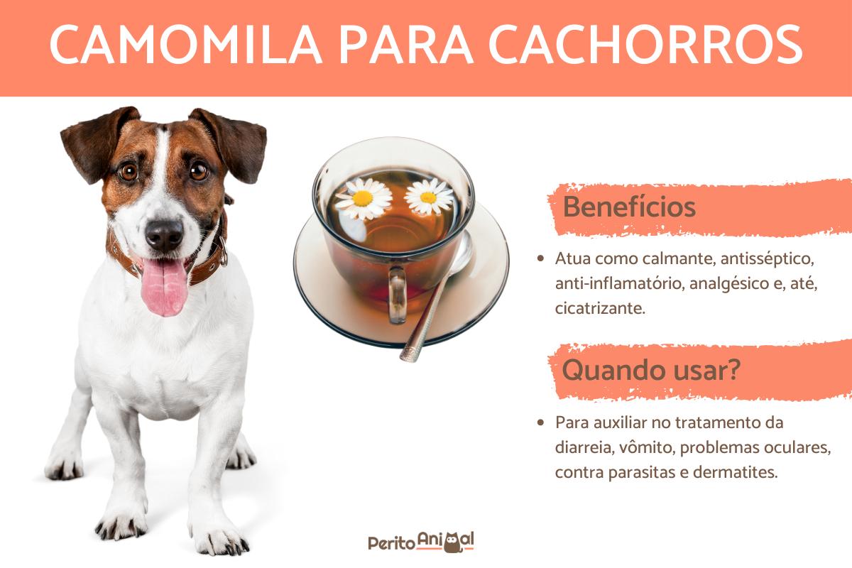 chá para cachorro dormir