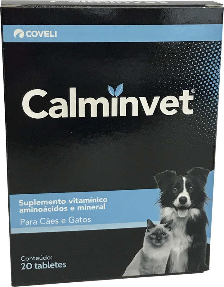 Guia Completo: Como Preparar e Servir Chá para Seu Cachorro