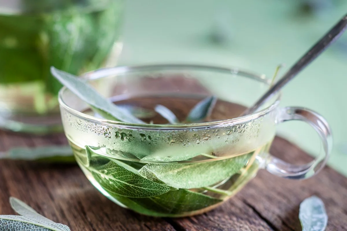 Cuidados ao Usar Ervas para Circulação Sanguínea