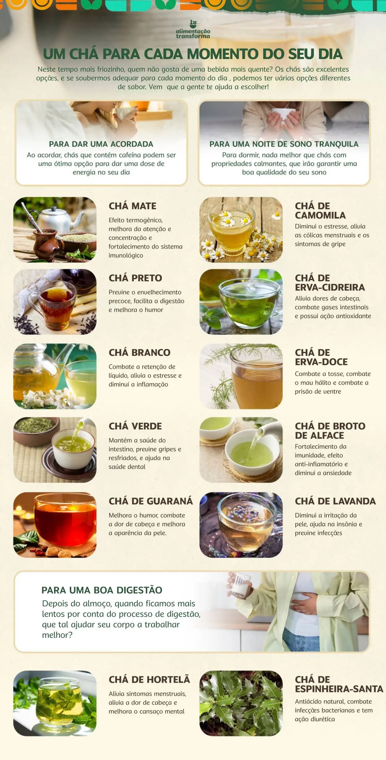 Benefícios do gengibre para a saúde digestiva