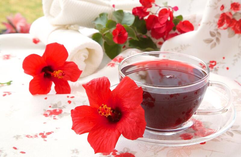 Cranberry: O Aliado Inesperado Contra Infecções Urinárias