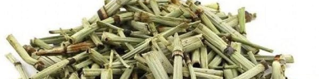 Como a Água Ajuda a Combater Infecções Urinárias em Gestantes