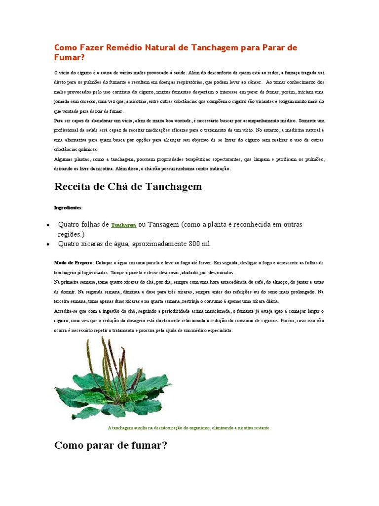 Guia Completo: Como Usar Chás para Desintoxicar o Corpo do Tabaco
