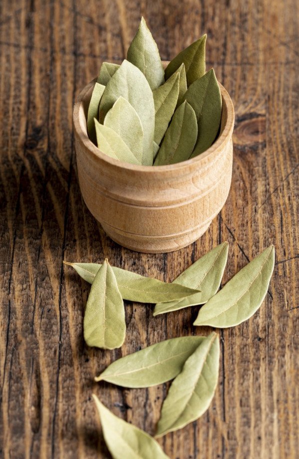 5 Chás Naturais para Secar o Leite Materno