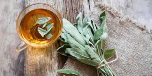 Quando Procurar Ajuda Profissional para Reduzir a Lactação