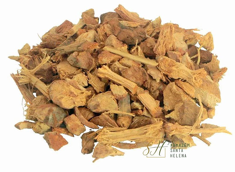 O Papel do SUS no Combate às Doenças Sexualmente Transmissíveis